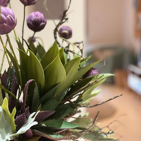 Petite Fleur Lejlighed Preveza Eksteriør billede